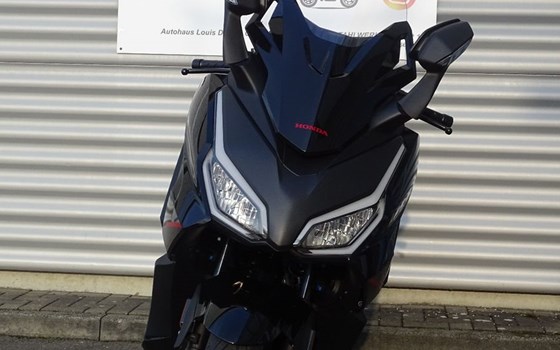 Gebrauchtmotorrad Honda Forza 125 Special Edition - Bild 2