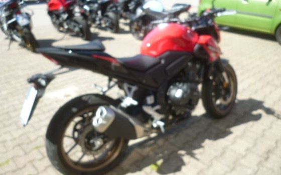 Gebrauchtmotorrad Honda CB500 Hornet E-Clutch - Bild 6