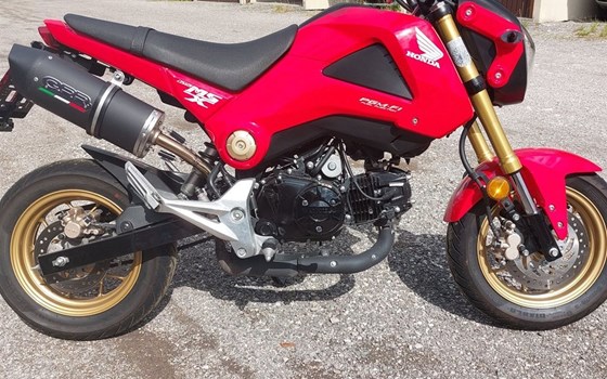 Gebrauchtmotorrad Honda MSX 125 - Bild 1