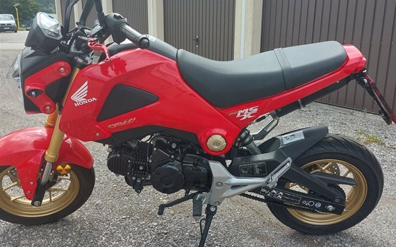 Gebrauchtmotorrad Honda MSX 125 - Bild 2