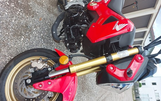 Gebrauchtmotorrad Honda MSX 125 - Bild 4