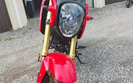 Gebrauchtmotorrad Honda MSX 125 - Bild 6