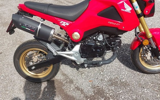 Gebrauchtmotorrad Honda MSX 125 - Bild 8