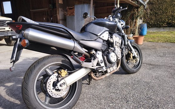 Gebrauchtmotorrad Honda CB 900 F Hornet - Bild 4