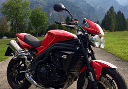 Gebrauchte Triumph Speed Triple 1050