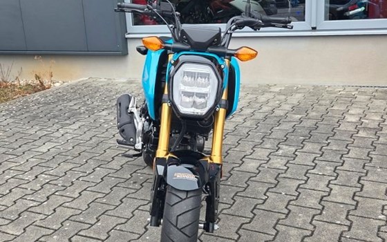 Gebrauchtmotorrad Honda MSX125 Grom - Bild 2