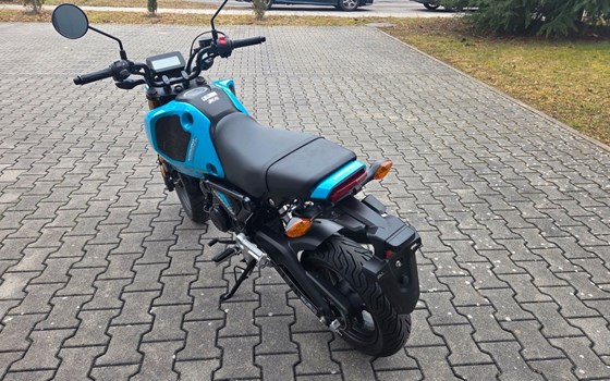 Gebrauchtmotorrad Honda MSX125 Grom - Bild 5
