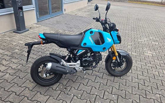 Gebrauchtmotorrad Honda MSX125 Grom - Bild 6
