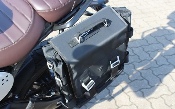 Gebrauchtmotorrad Triumph Scrambler 400 X - Bild 10