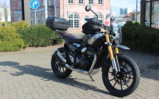 Gebrauchtmotorrad Triumph Scrambler 400 X - Bild 2