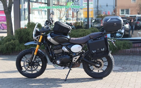Gebrauchtmotorrad Triumph Scrambler 400 X - Bild 5