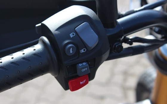 Gebrauchtmotorrad Triumph Scrambler 400 X - Bild 9