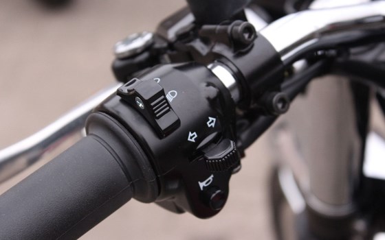 Neufahrzeug Kawasaki W800 - Bild 13