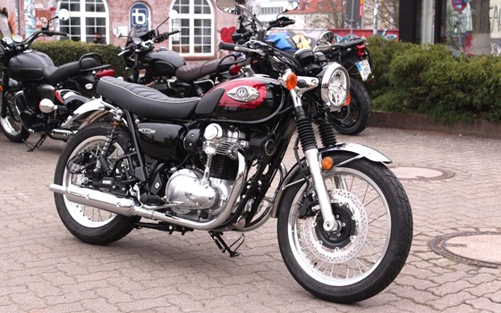 Neufahrzeug Kawasaki W800 - Bild 2