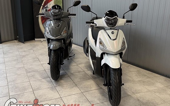 Neufahrzeug Sym Fiddle 125 E5 - Bild 3