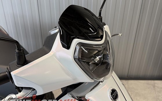 Neufahrzeug Sym Fiddle 125 E5 - Bild 7