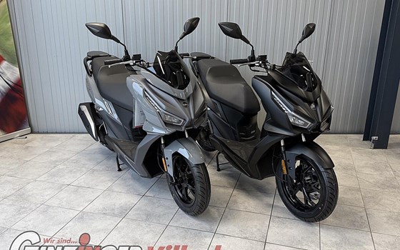 Neufahrzeug Sym Jet 14 EVO - Bild 1