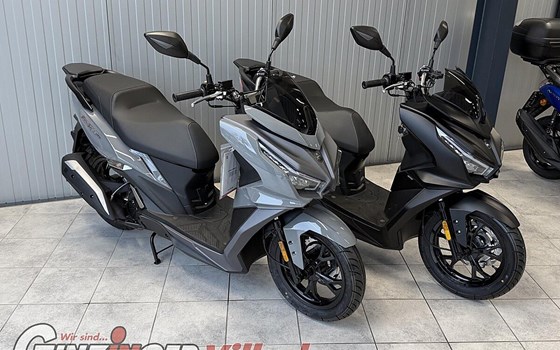 Neufahrzeug Sym Jet 14 EVO - Bild 3