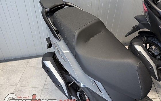 Neufahrzeug Sym Jet 14 EVO - Bild 4