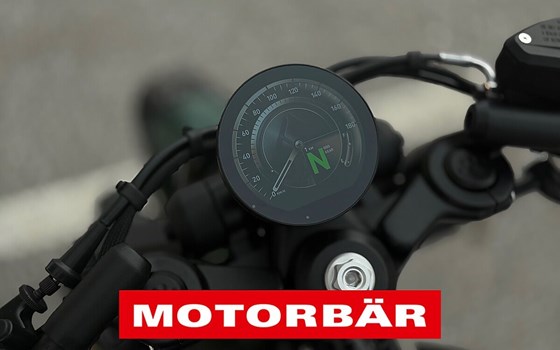 Neufahrzeug Benda Napoleonbob 250 - Bild 8