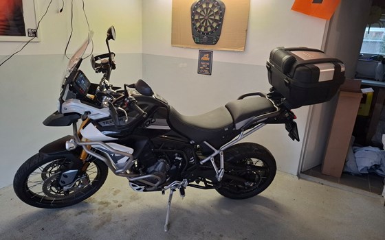 Gebrauchtmotorrad Triumph Tiger 900 Rally Pro - Bild 1