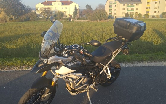 Gebrauchtmotorrad Triumph Tiger 900 Rally Pro - Bild 6