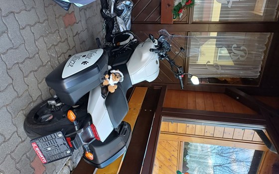 Gebrauchtmotorrad Honda CTX 700 N - Bild 1