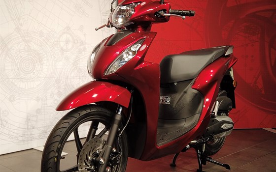 Neufahrzeug Honda Vision 110 - Bild 5