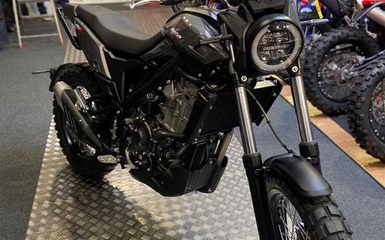 Neufahrzeug Beta Alp X - Bild 2