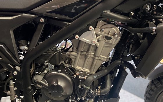 Neufahrzeug Beta Alp X - Bild 3