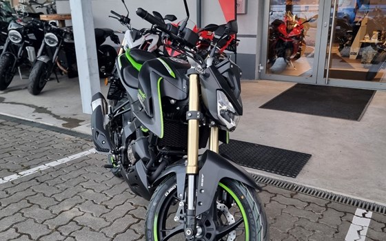 Neufahrzeug QJ Motor SRK 125 S - Bild 10