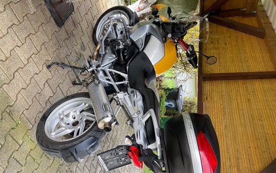 Gebrauchtmotorrad BMW R 1200 GS - Bild 1