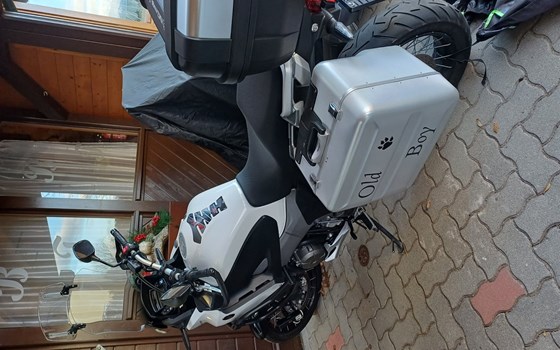 Gebrauchtmotorrad Honda VFR1200X Crosstourer DCT - Bild 1