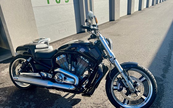 Gebrauchtmotorrad Harley-Davidson V-Rod Muscle VRSCF - Bild 4