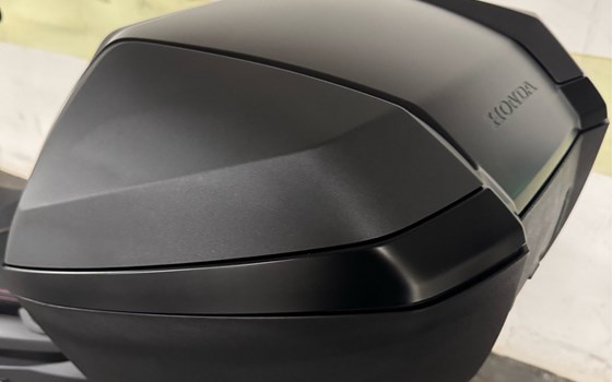 Gebrauchtmotorrad Honda Forza 125 - Bild 2