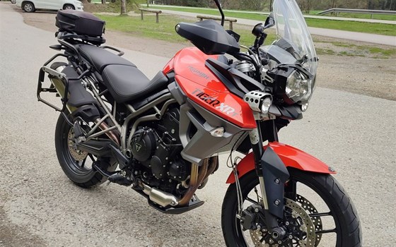 Gebrauchtmotorrad Triumph Tiger 800 XRT - Bild 2