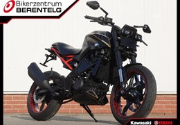 Gebrauchte BMW G 310 R