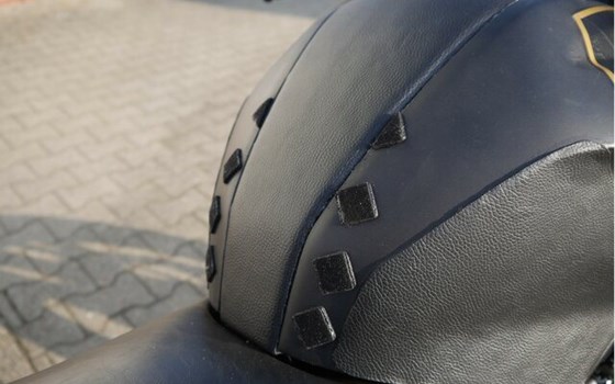 Gebrauchtmotorrad BMW G 310 R - Bild 21