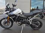 Angebot Triumph Tiger 900 Rally Pro