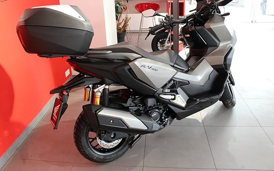 Neufahrzeug Honda ADV350 - Bild 3