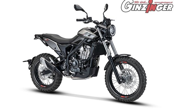 Neufahrzeug Beta Alp 4.0 - Bild 1