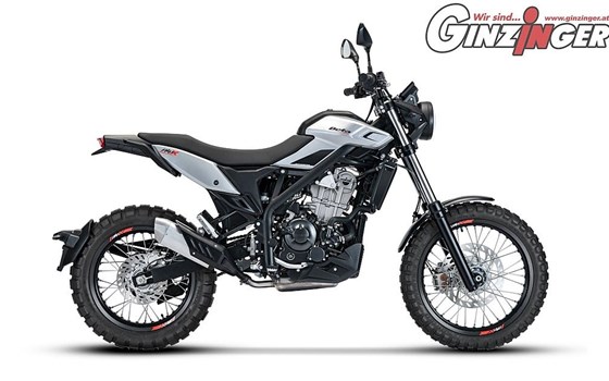 Neufahrzeug Beta Alp 4.0 - Bild 2