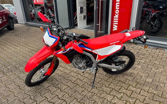 Gebrauchtmotorrad Honda CRF300L - Bild 3