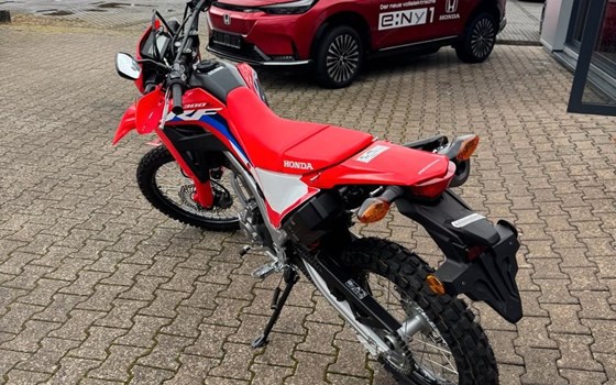 Gebrauchtmotorrad Honda CRF300L - Bild 4