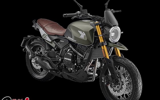 Neufahrzeug Moto Morini 6 1/2 Seiemmezzo SCR - Bild 2