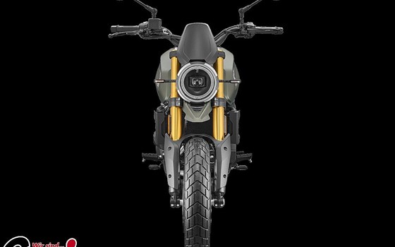 Neufahrzeug Moto Morini 6 1/2 Seiemmezzo SCR - Bild 5