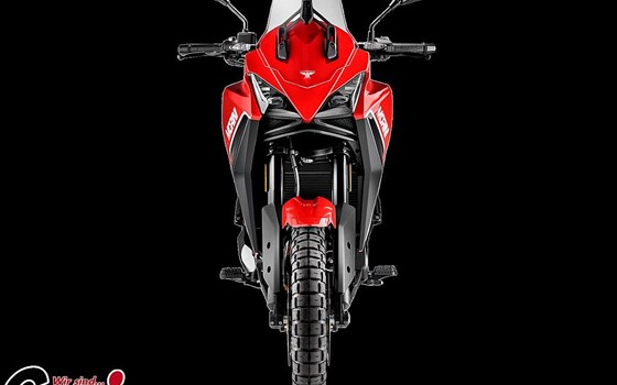 Neufahrzeug Moto Morini X-Cape - Bild 5