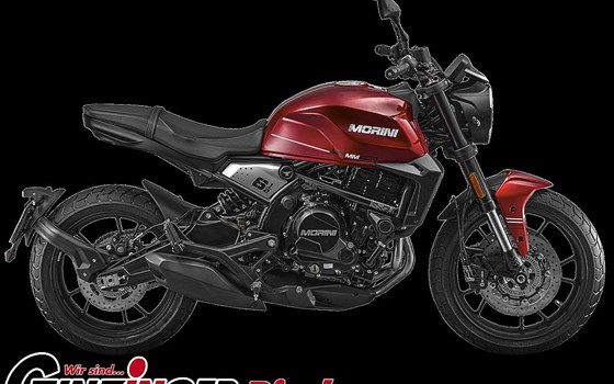 Neufahrzeug Moto Morini 6 1/2 Seiemmezzo STR - Bild 3