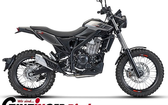 Neufahrzeug Beta Alp X - Bild 2