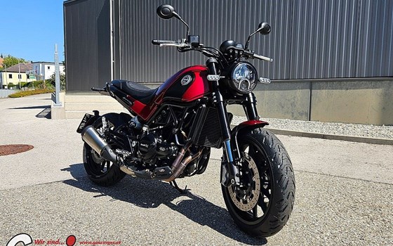 Gebrauchtmotorrad Benelli Leoncino 500 - Bild 4